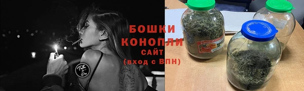 молекула духа Козловка