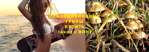 прущие грибы Кинешма