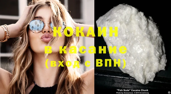 молекула духа Козловка