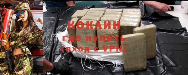 прущие грибы Кинешма