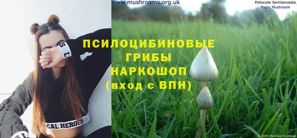 дурь Киренск