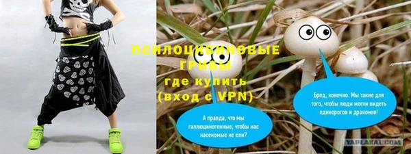 дурь Киренск