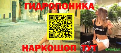 таблы Кингисепп