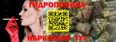 таблы Кингисепп
