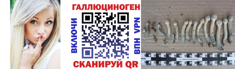 Галлюциногенные грибы GOLDEN TEACHER  Кунгур 