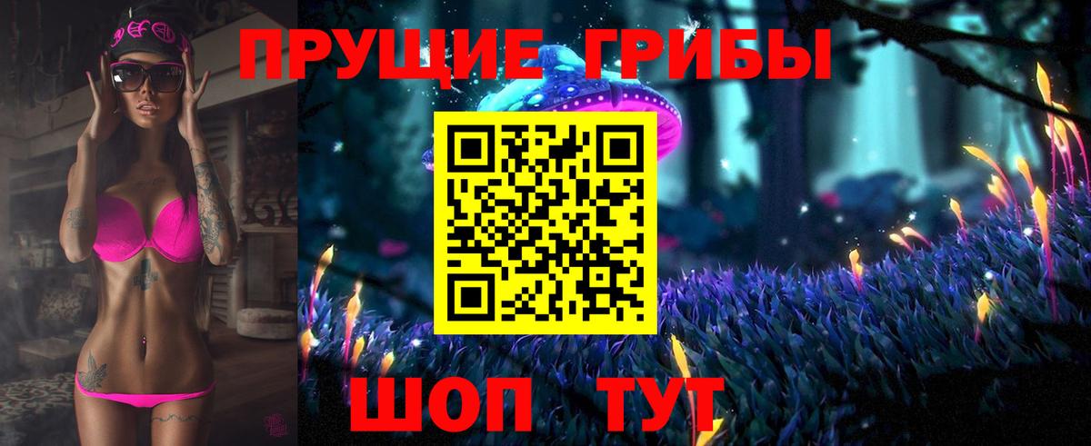 Псилоцибиновые грибы GOLDEN TEACHER Кунгур